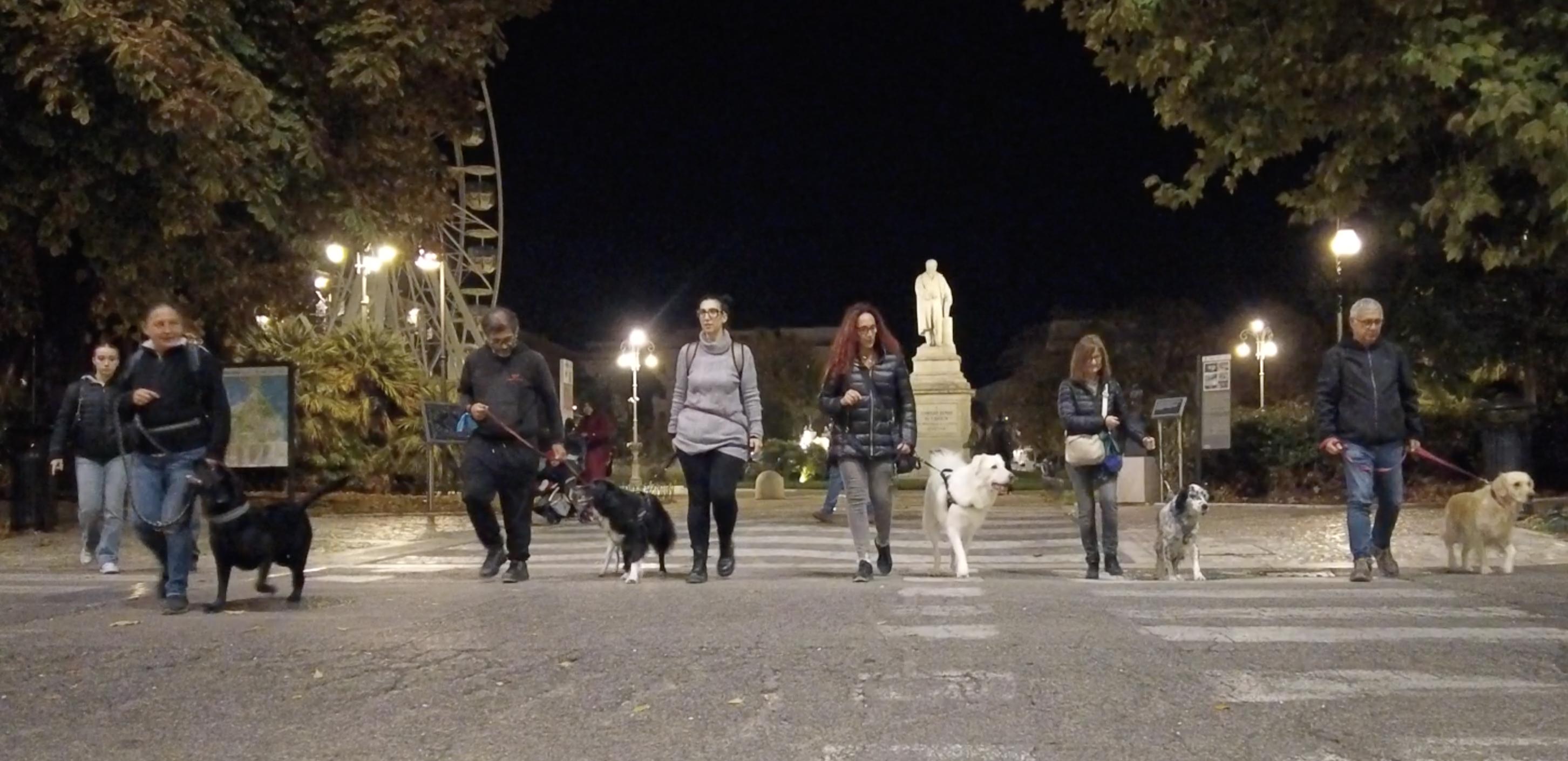 City Dog Walk